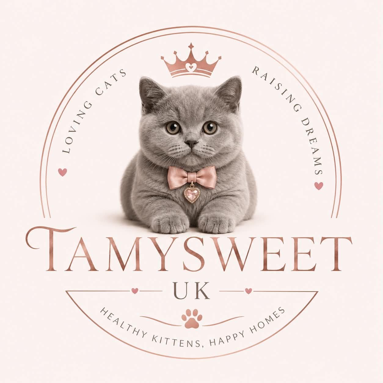 TamysweetUK logo